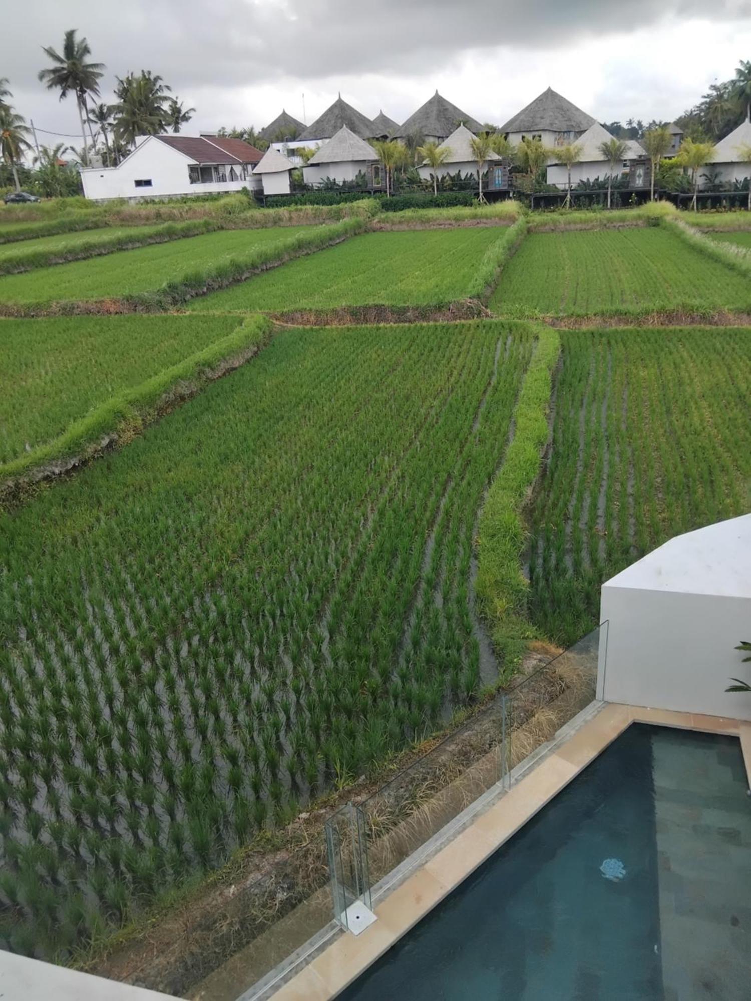 Sujiwa Ubud Hotel & Villa Dış mekan fotoğraf